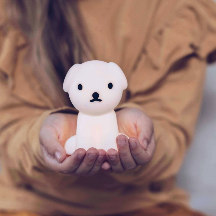 Snuffy Bundle of Light Mini Lamp