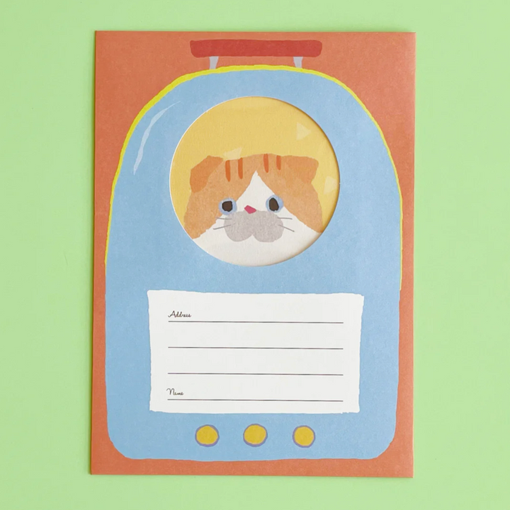 Cat in a Rucksack Gift Bundle, Ages 6+