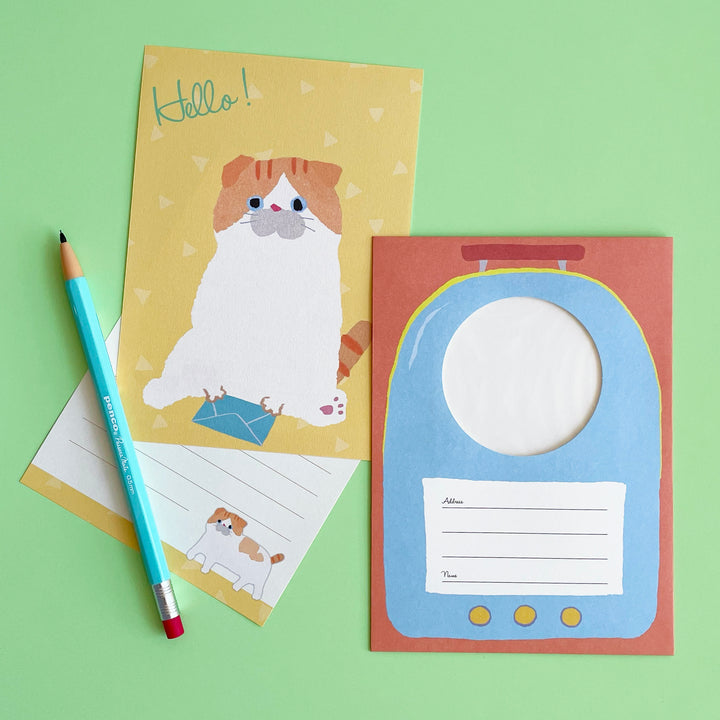 Cat in a Rucksack Gift Bundle, Ages 6+