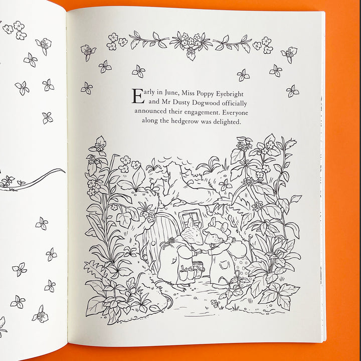Brambly Hedge: A Nature Coloring Book