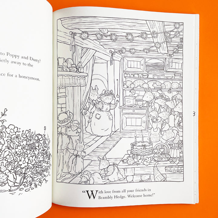Brambly Hedge: A Nature Coloring Book