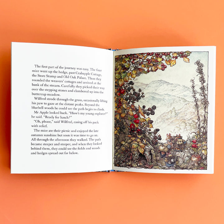 The High Hills (Brambly Hedge)