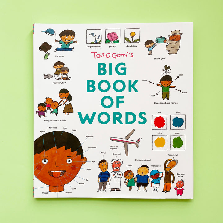 Taro Gomi's Big Book Of Words
