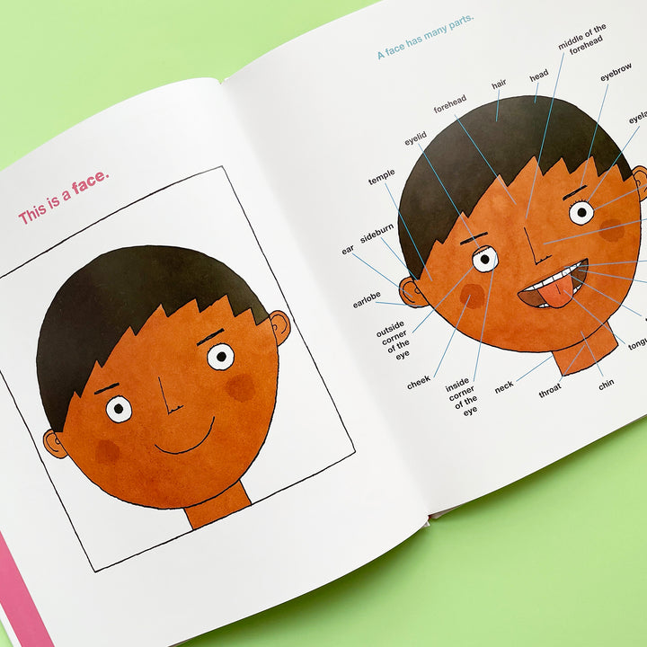 Taro Gomi's Big Book Of Words