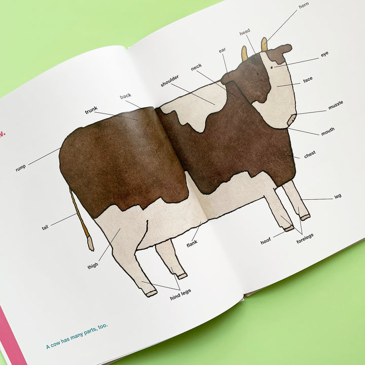 Taro Gomi's Big Book Of Words