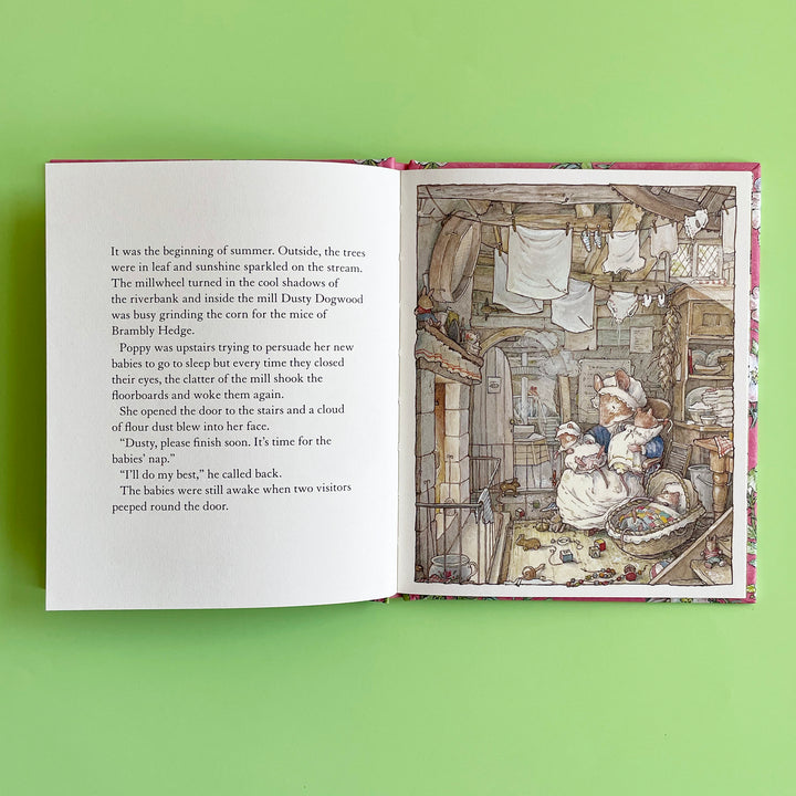 Poppy's Babies (Brambly Hedge)