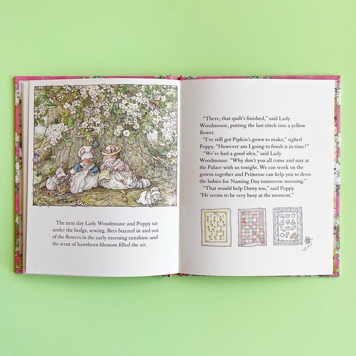Poppy's Babies (Brambly Hedge)