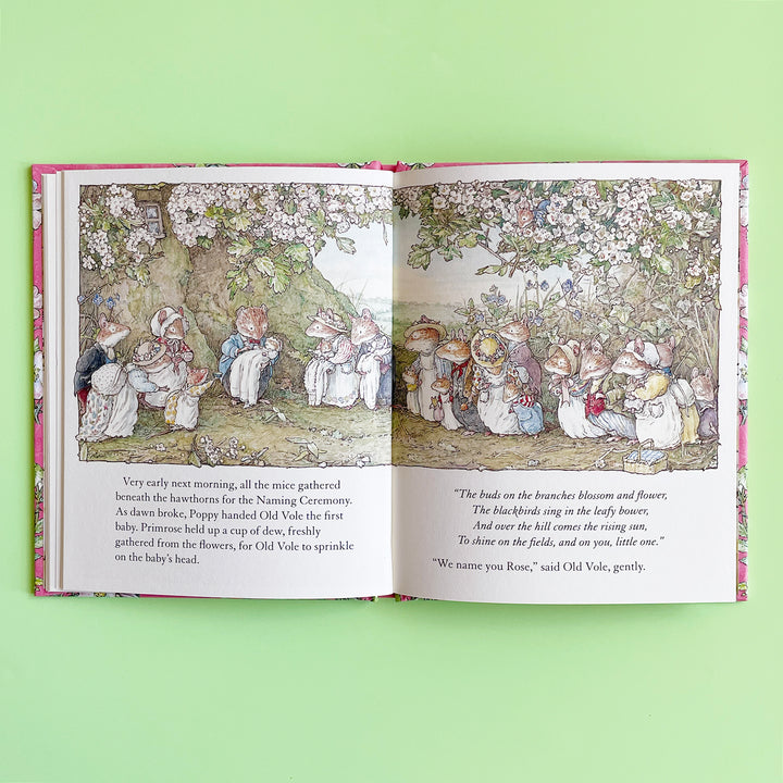 Poppy's Babies (Brambly Hedge)