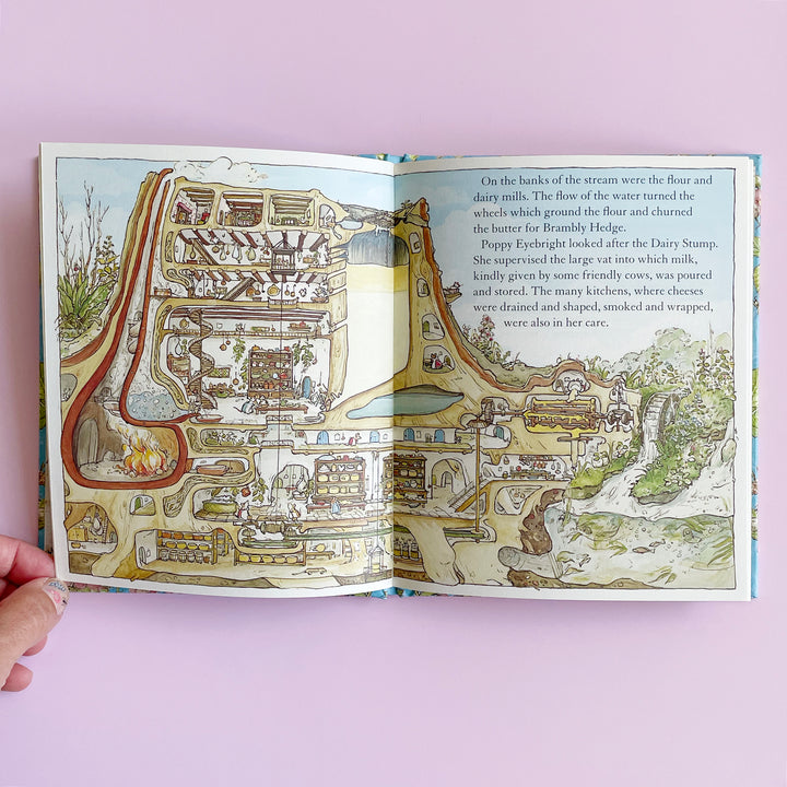 Summer Story (Brambly Hedge)
