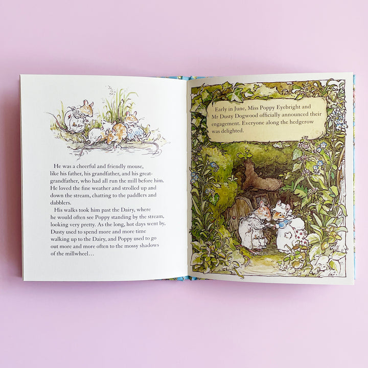 Summer Story (Brambly Hedge)