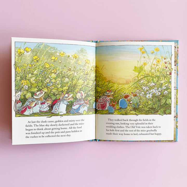 Summer Story (Brambly Hedge)