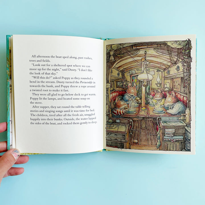 Sea Story (Brambly Hedge)