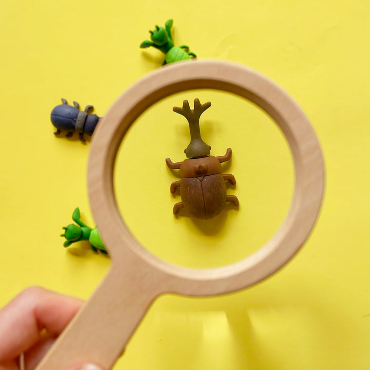 Wooden Magnifier
