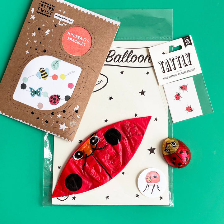 Ladybug Gift Bundle, Ages 4+