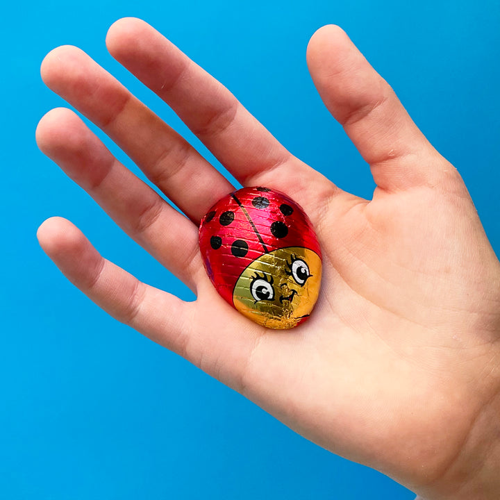 Ladybug Gift Bundle, Ages 4+