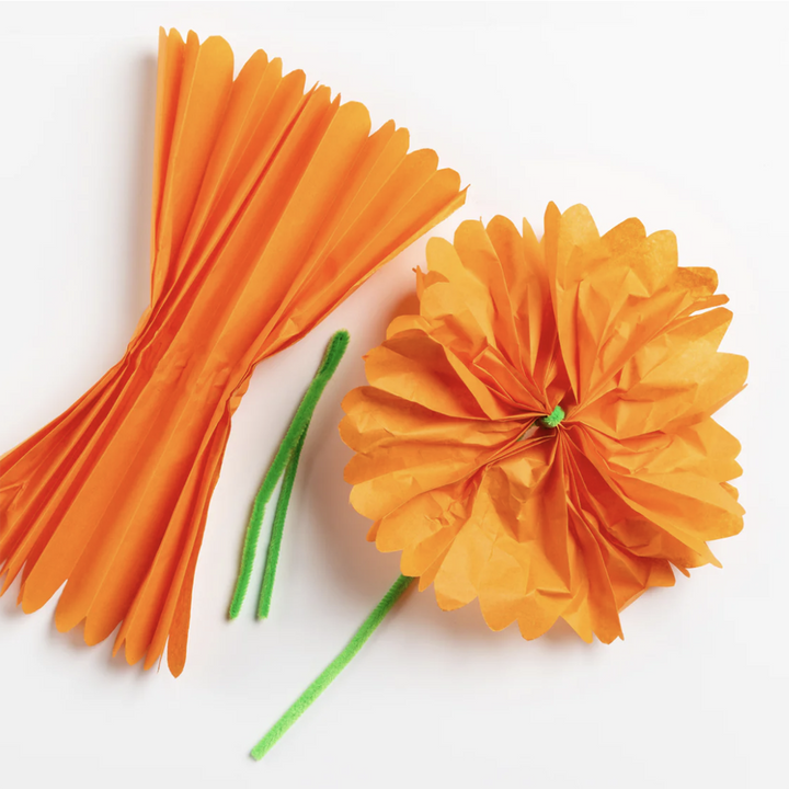 Process photo of a tissue paper marigold flower from the Majo Ideas Calavera Activity Kit.
