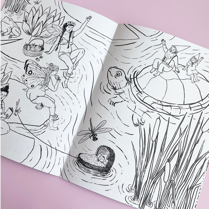 Fairyland Coloring Book
