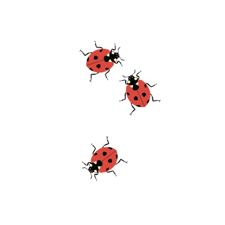 Ladybug Trio Tattoo