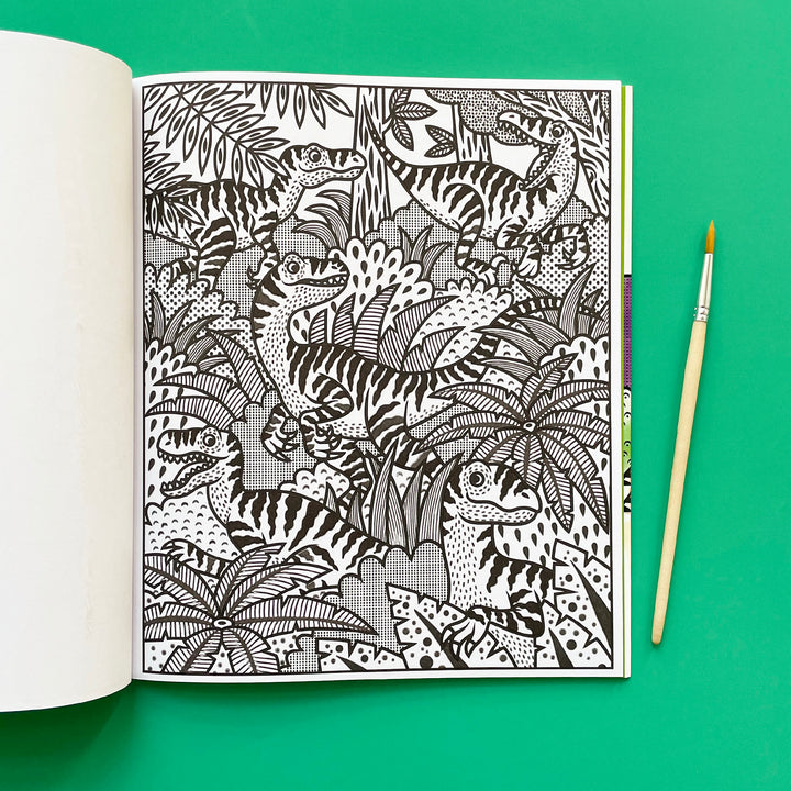 Dinosaurs Magic Painting Book