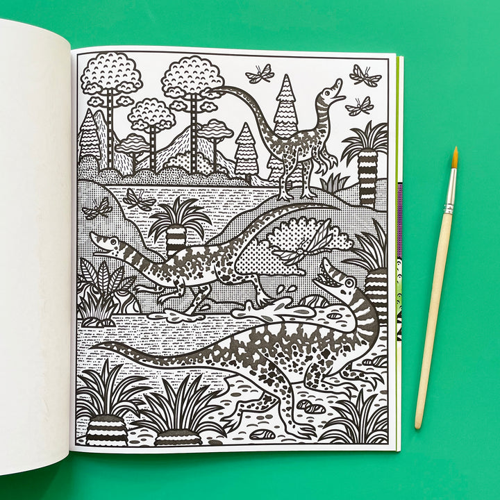 Dinosaurs Magic Painting Book