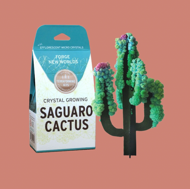 A boxed crystal growing cactus kit with an example of the kit in action on it's right.