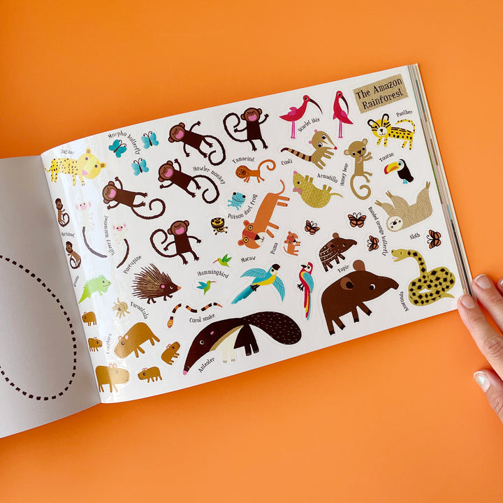 Animal Kingdom All Around the World