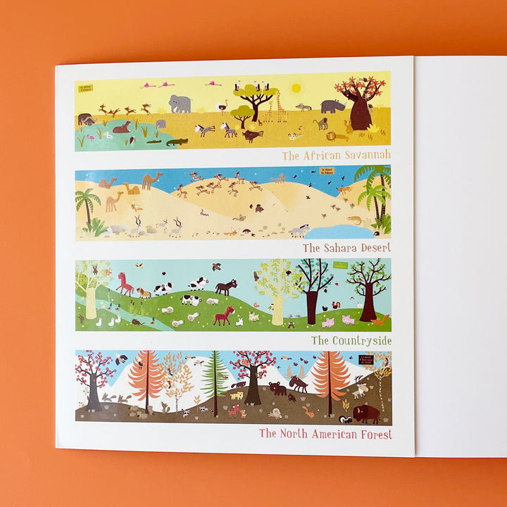 Animal Kingdom All Around the World