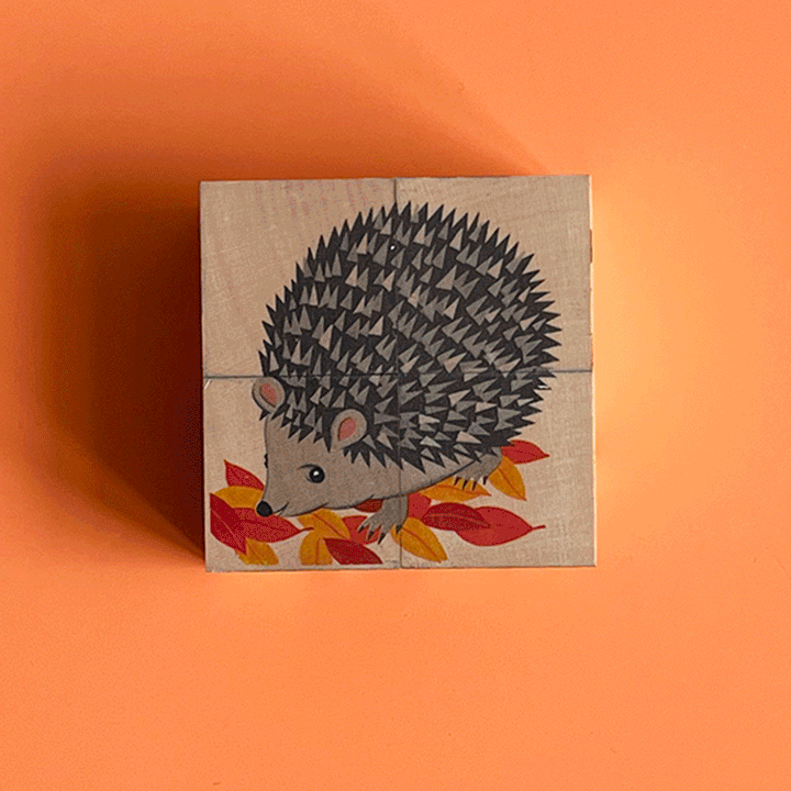 4-Piece Cube Puzzle