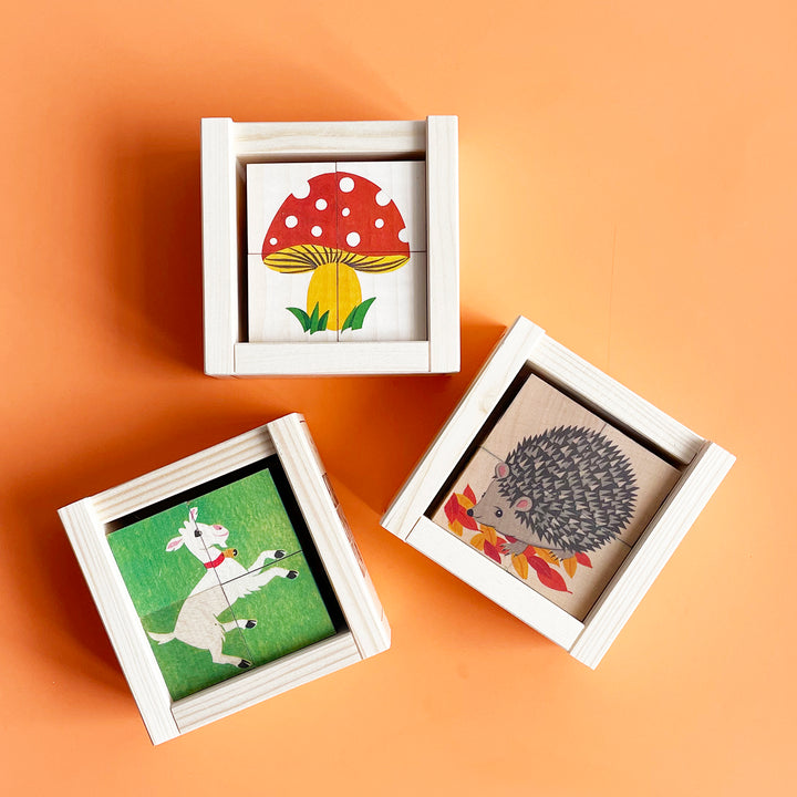 Three 4-block wooden cube puzzles with nature inspired illustrations on an orange background.