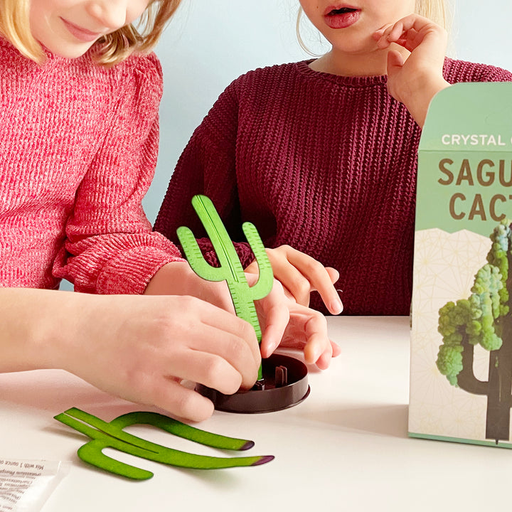 Saguaro Cactus Crystal Kit