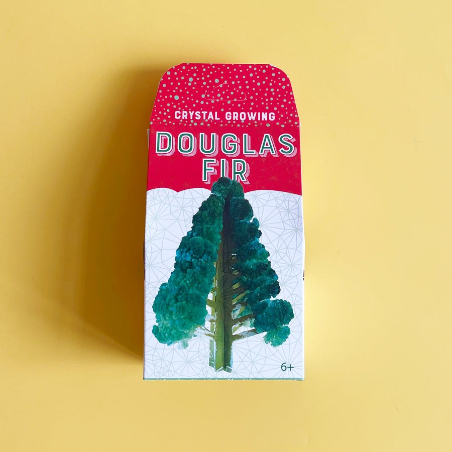 A boxed Crystal Growing Douglas Fir  kit on a yellow background