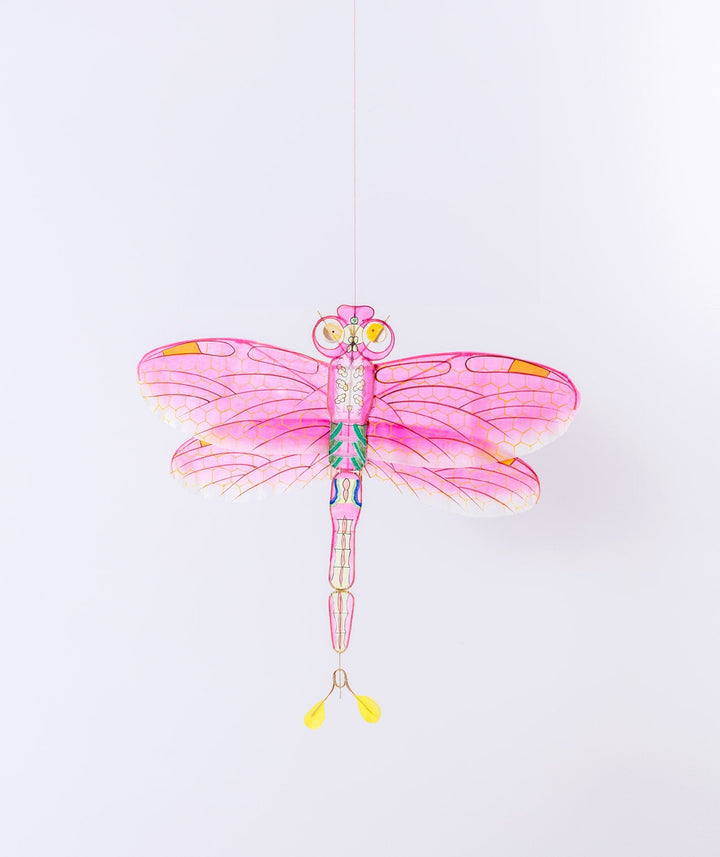 Dragonfly Kite