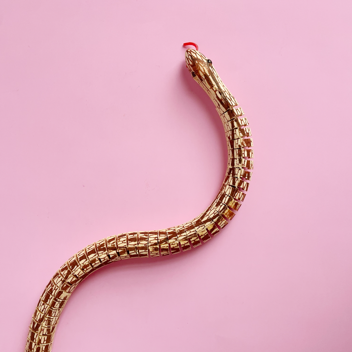 Wooden Snake