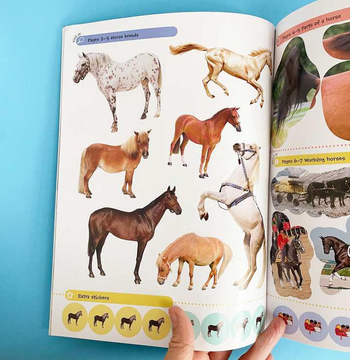 Ultimate Sticker Books