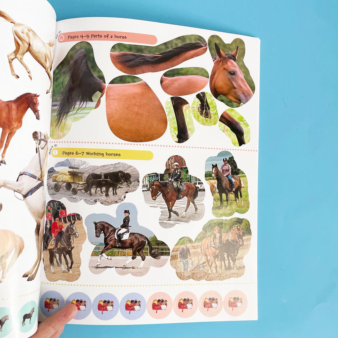 Ultimate Sticker Books