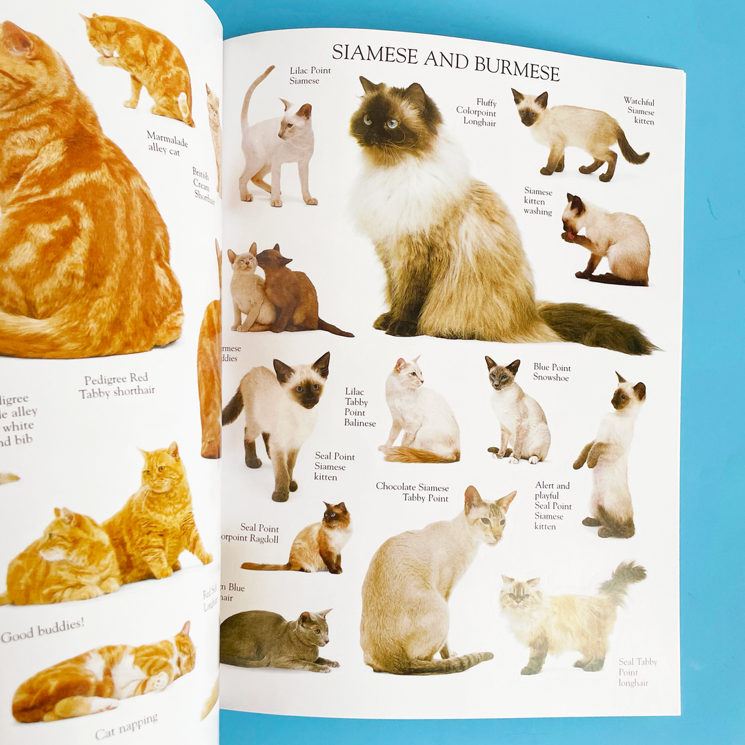 Ultimate Sticker Books