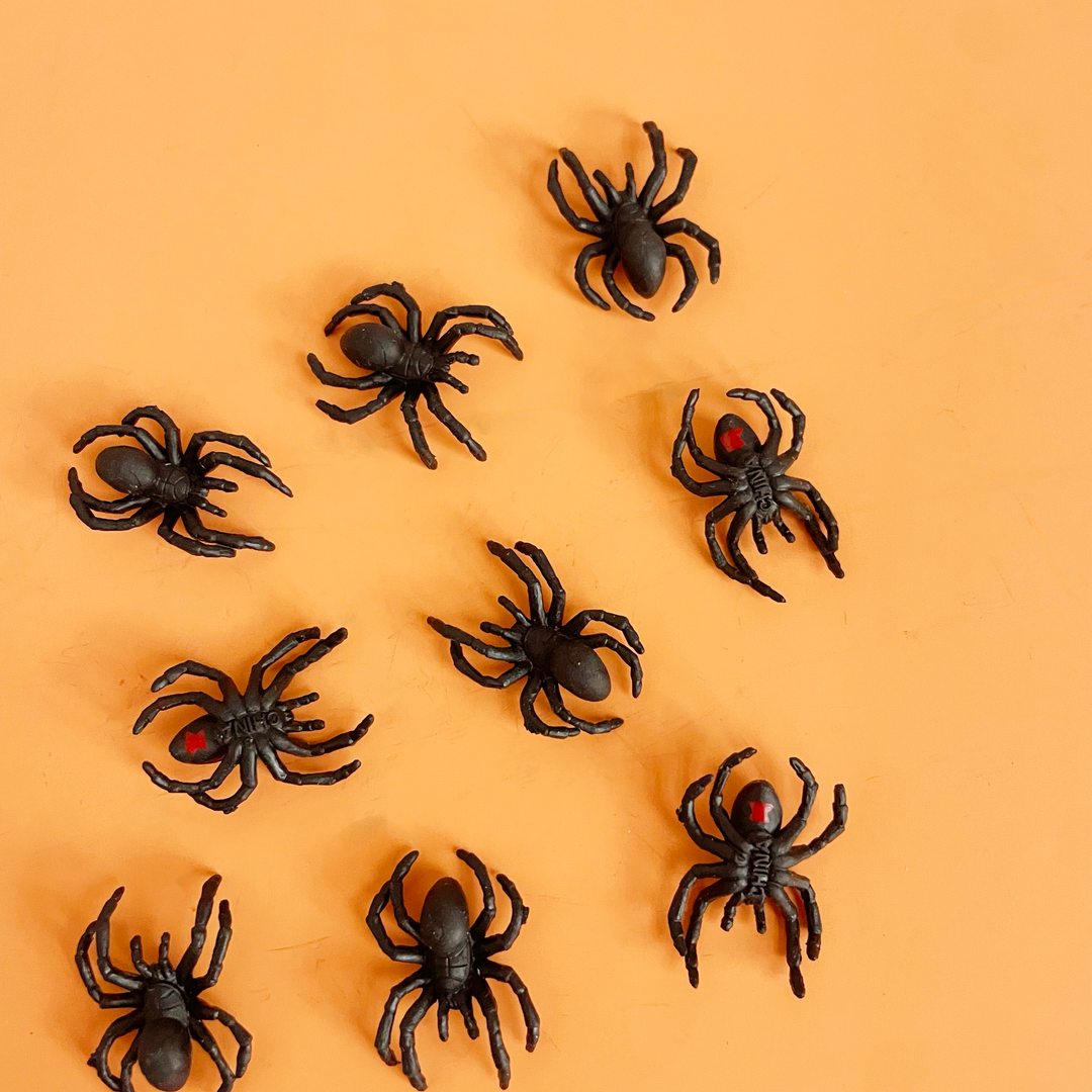 Tiny Animals