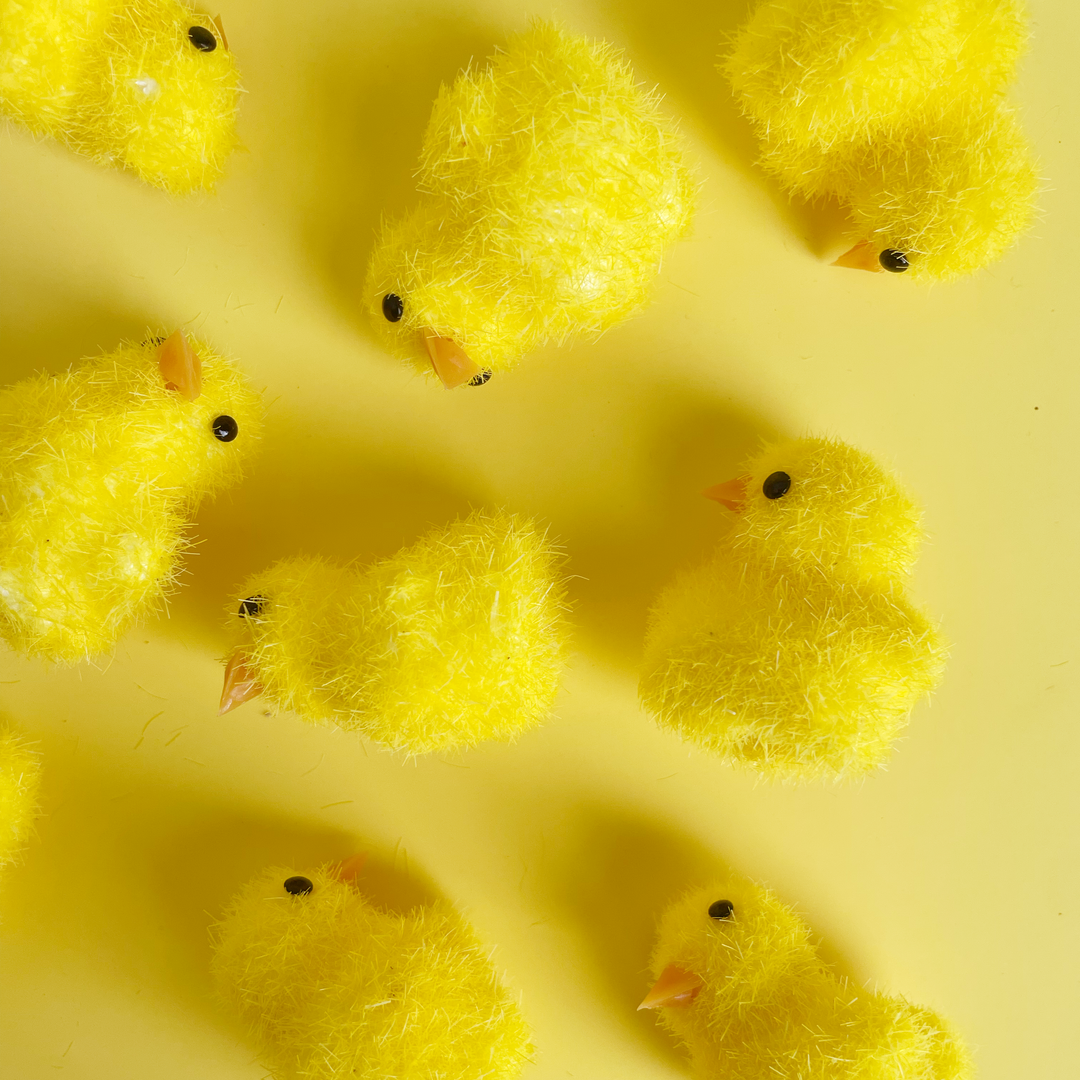 TIny Flocked  Fuzzy Chicks