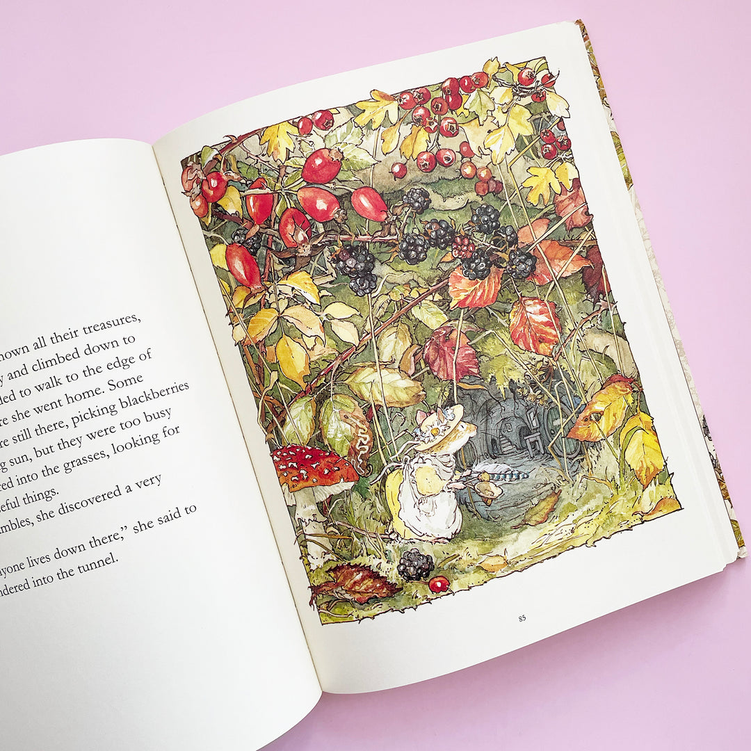 The Complete Brambly Hedge (Brambly Hedge, #1-8) by Jill Barklem | Goodreads