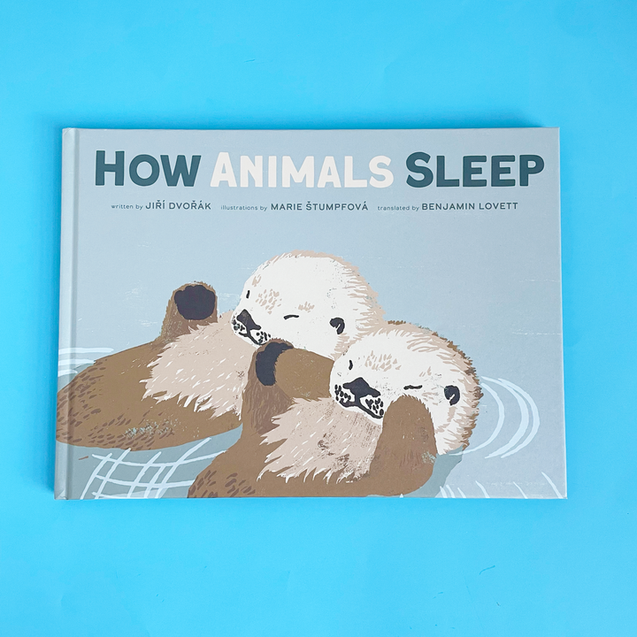 How Animals Sleep