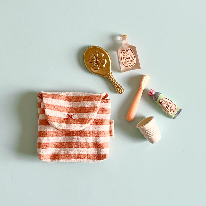 Mini Toothbrush Set in a Bag
