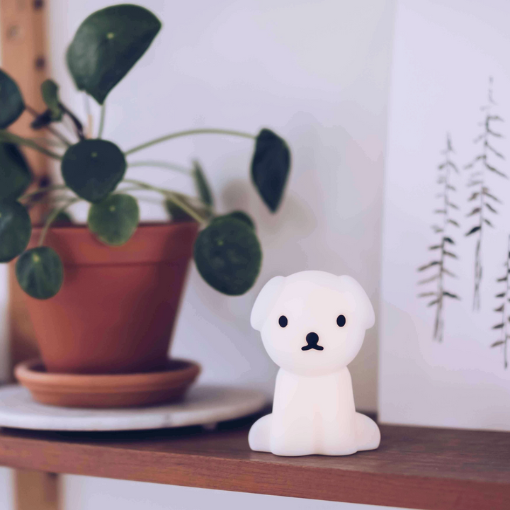 Snuffy Bundle of Light Mini Lamp