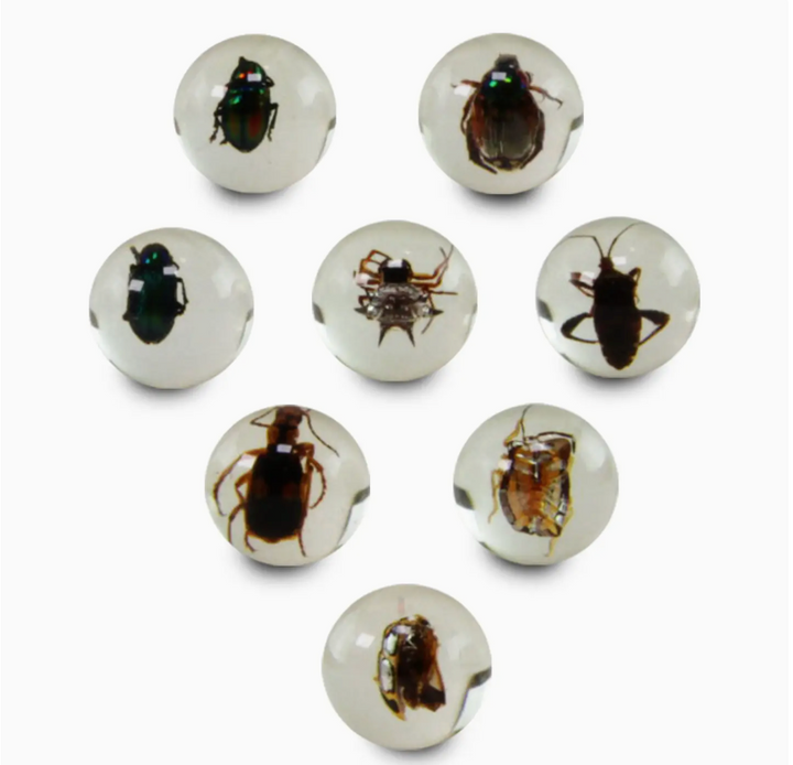 Bug Marbles