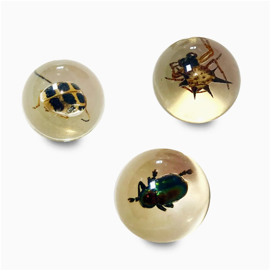 Bug Marbles
