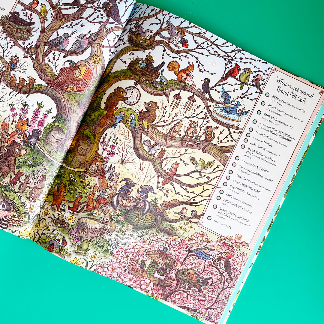 Brown Bear Wood Seek and Find