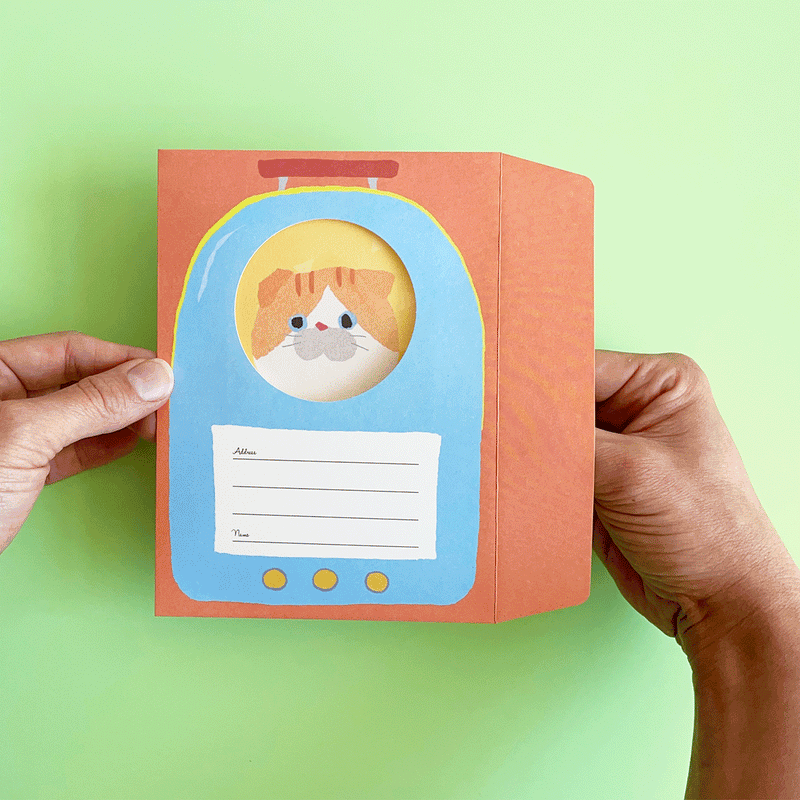 Cat in a Rucksack Letter Set
