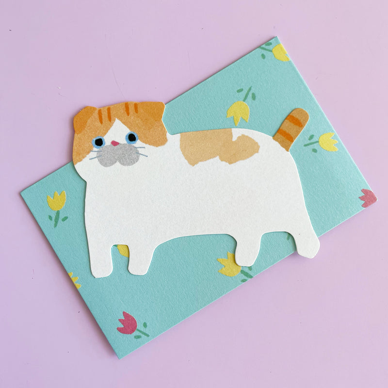 Mini Cat Notecard Set