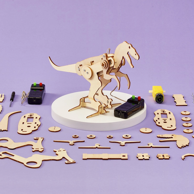 Dinosaur Robot Kit