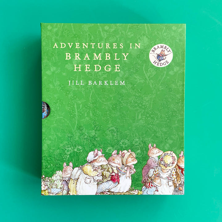 Adventures in Brambly Hedge