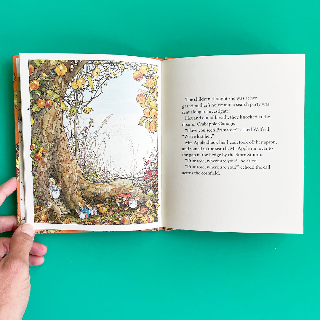 Autumn Story (Brambly Hedge)